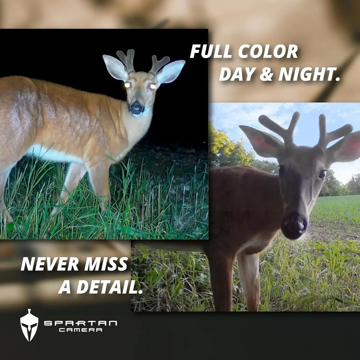 Spartan Camera Lumen Trail Camera 24MP Non Cellular Dual Flash