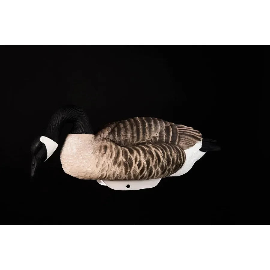 Heyday Canada Goose Floater Hunting Decoys HydroFoam