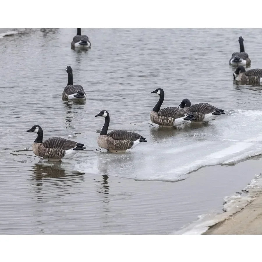 Heyday Canada Goose Floater Hunting Decoys HydroFoam