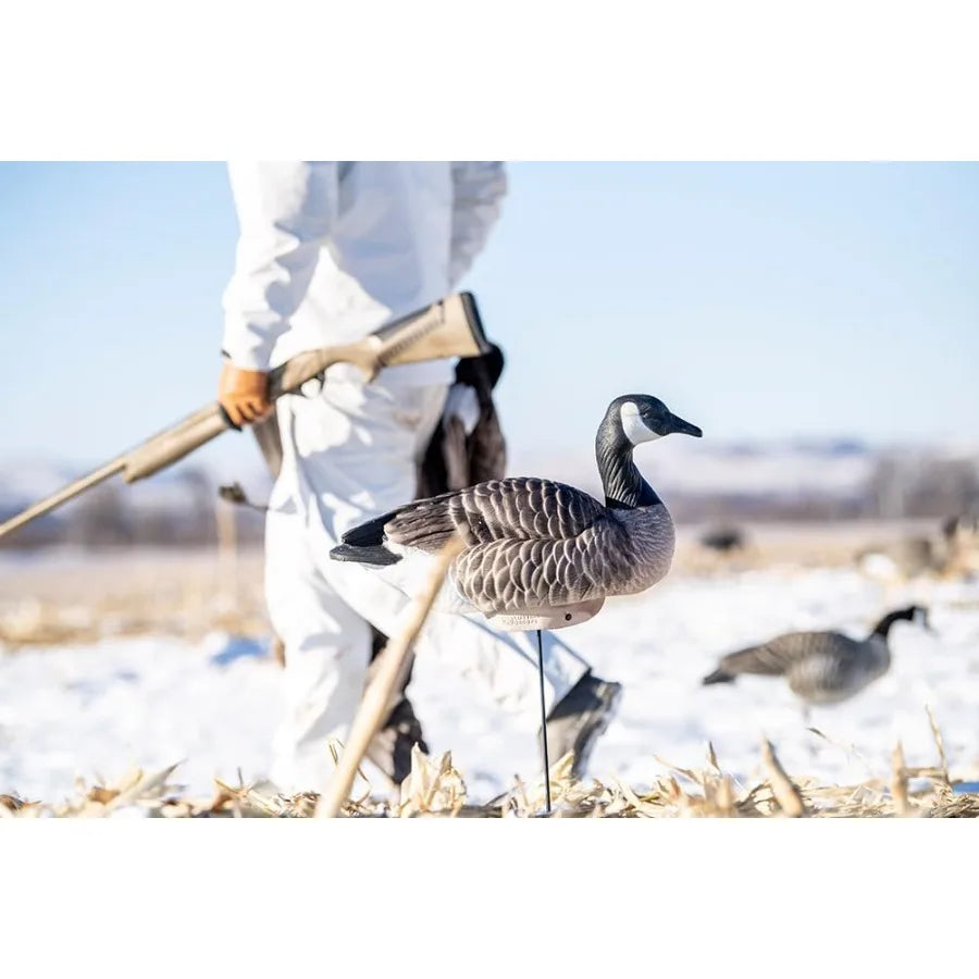 Heyday Canada Goose Floater Hunting Decoys HydroFoam