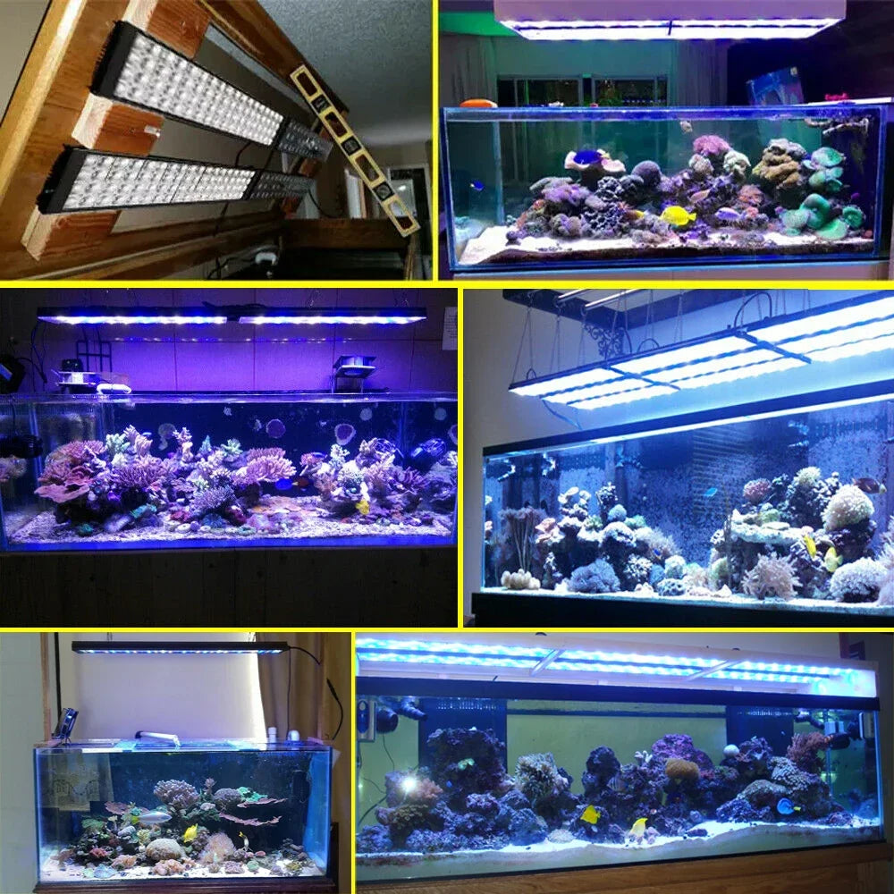 PopBloom WiFi Reef Aquarium LED Light Full Spectrum For Reef